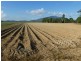 East Feluga QLD 4854