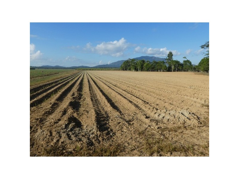 East Feluga QLD 4854