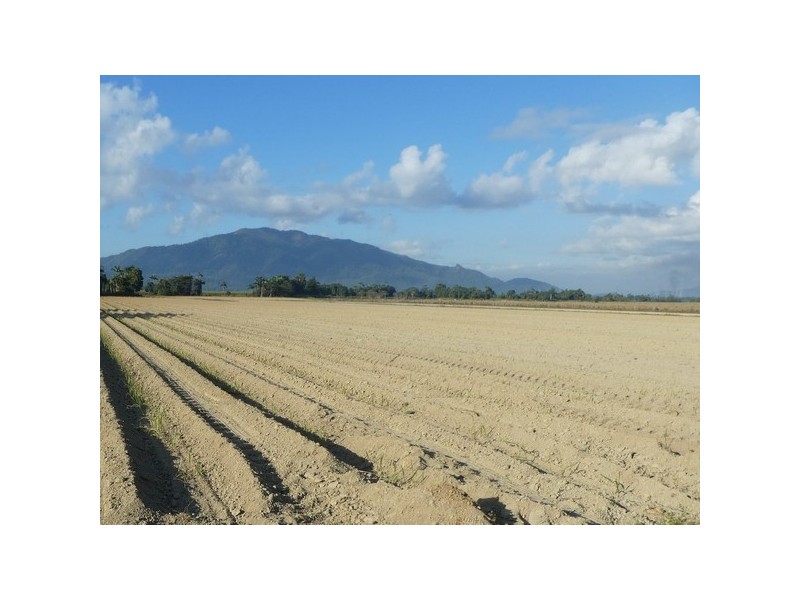 East Feluga QLD 4854