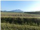 East Feluga QLD 4854