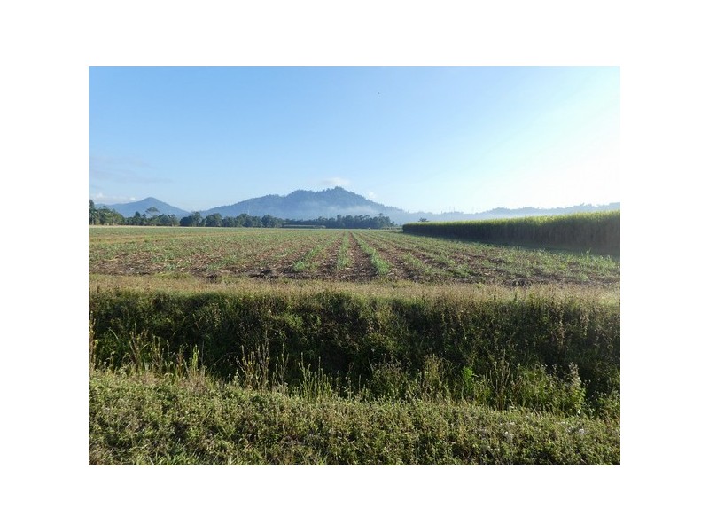 East Feluga QLD 4854