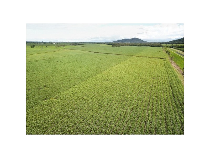 Dingo Pocket QLD 4854