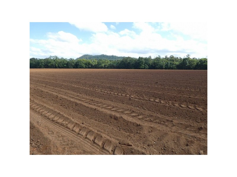 Dingo Pocket QLD 4854