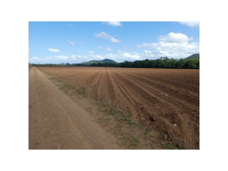 Dingo Pocket QLD 4854