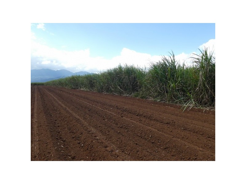 Dingo Pocket QLD 4854