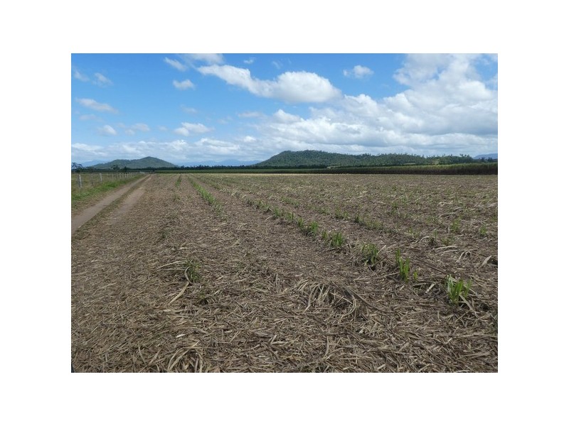 Dingo Pocket QLD 4854