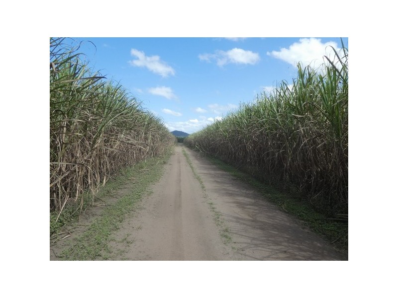 Dingo Pocket QLD 4854