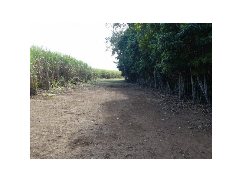 Dingo Pocket QLD 4854