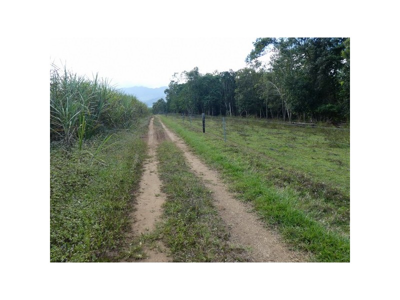 Dingo Pocket QLD 4854