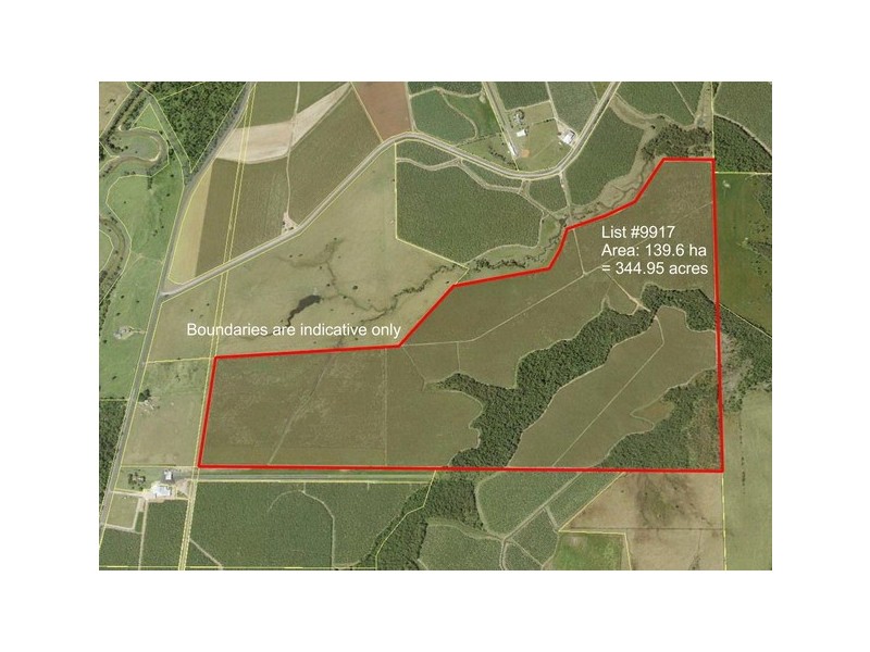 Dingo Pocket QLD 4854