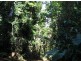 Innisfail QLD 4860
