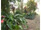 Innisfail QLD 4860