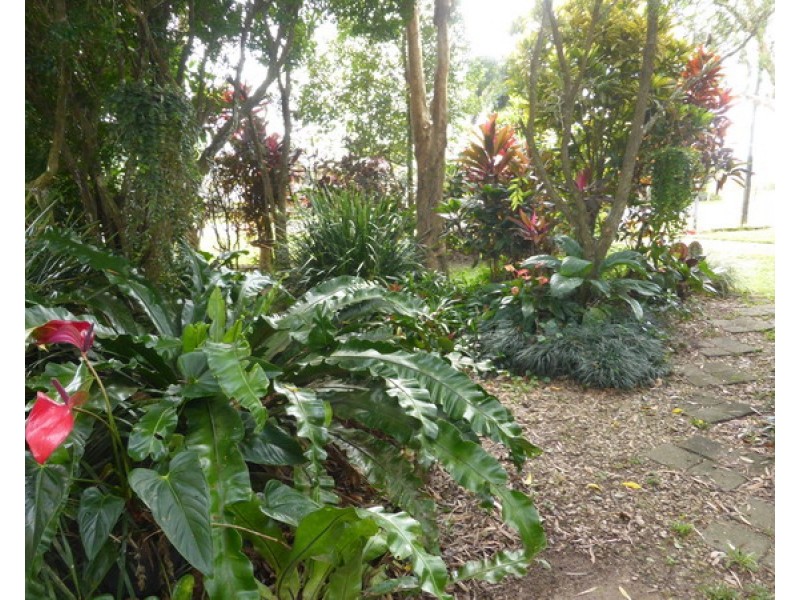 Innisfail QLD 4860