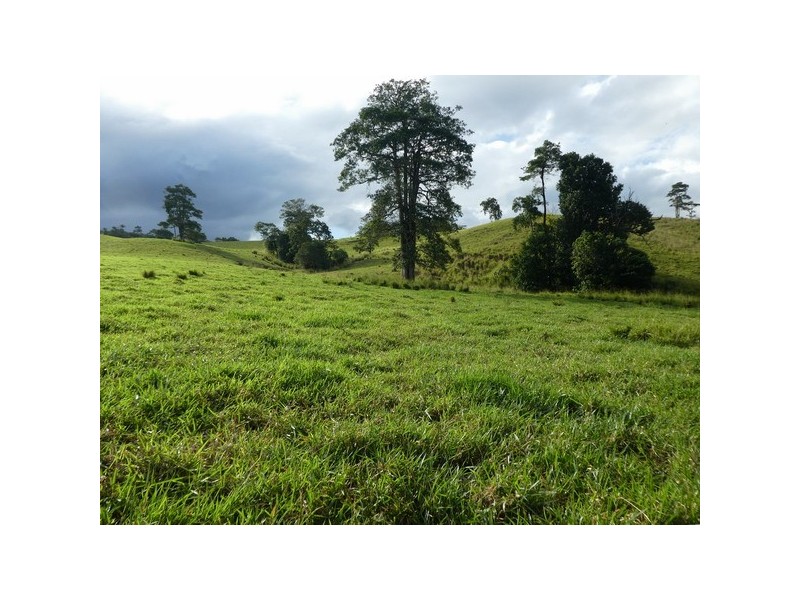 Innisfail QLD 4860