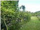 Moresby QLD 4871