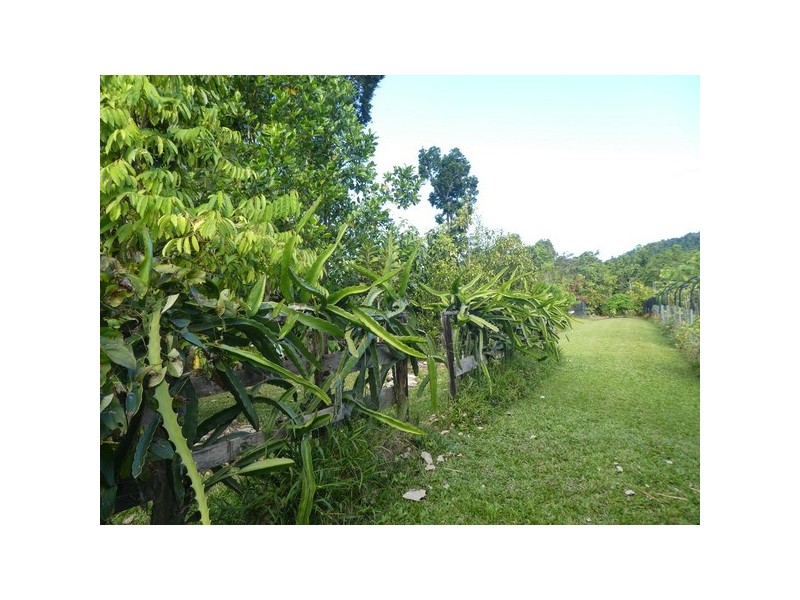 Moresby QLD 4871