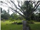 Moresby QLD 4871