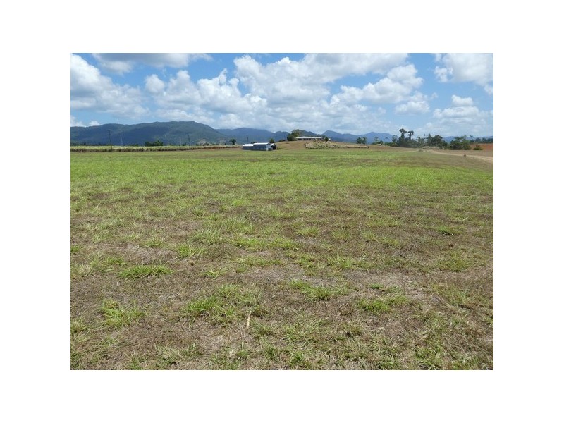 Walter Lever Estate QLD 4856