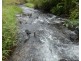 Japoonvale QLD 4856