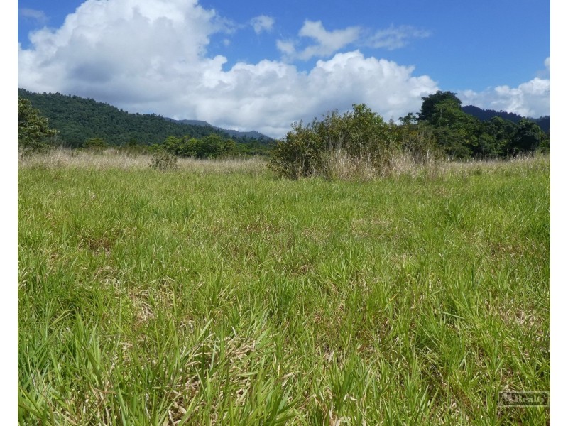 Japoonvale QLD 4856