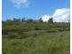 Japoonvale QLD 4856