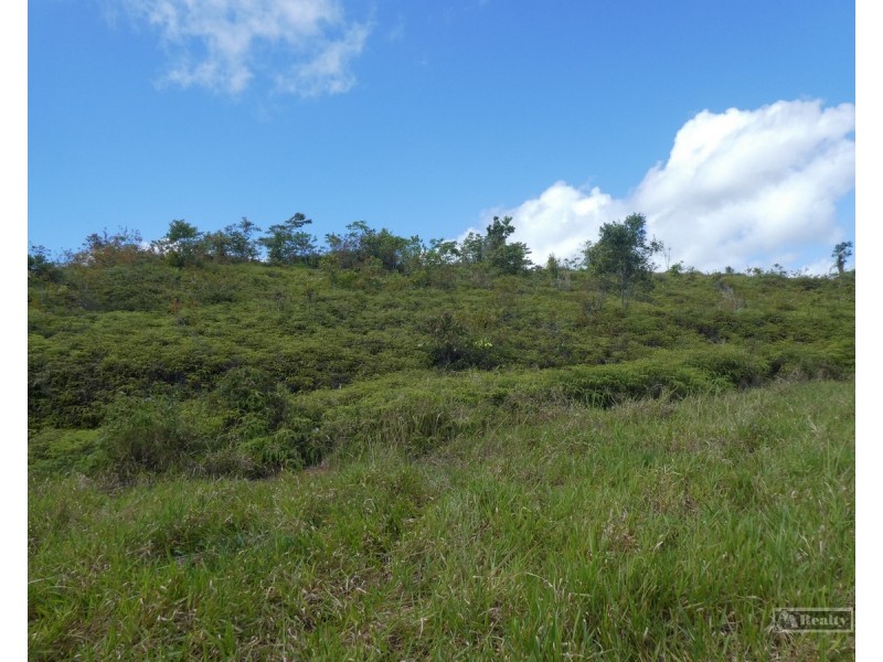 Japoonvale QLD 4856
