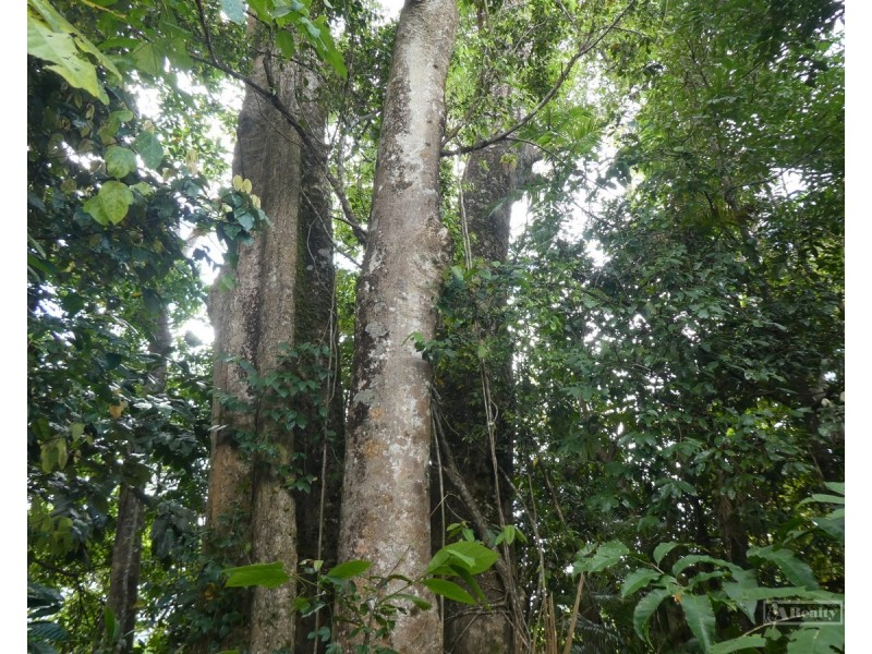 Japoonvale QLD 4856