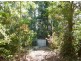 Camp Creek QLD 4871