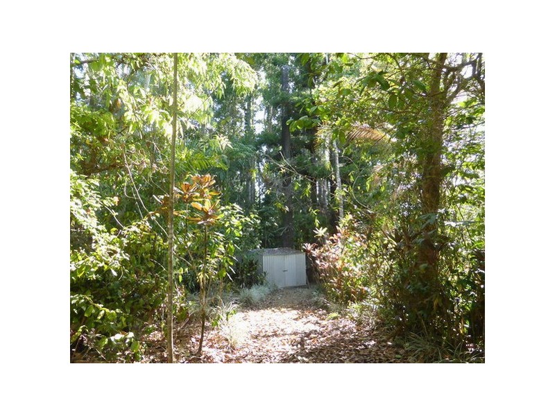 Camp Creek QLD 4871