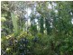 Camp Creek QLD 4871