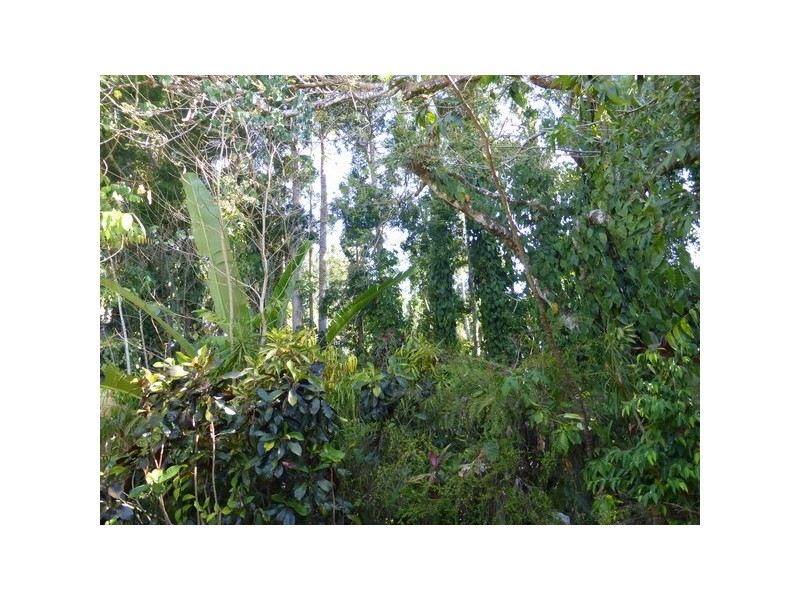 Camp Creek QLD 4871