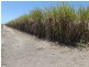 Kurrimine Beach QLD 4871