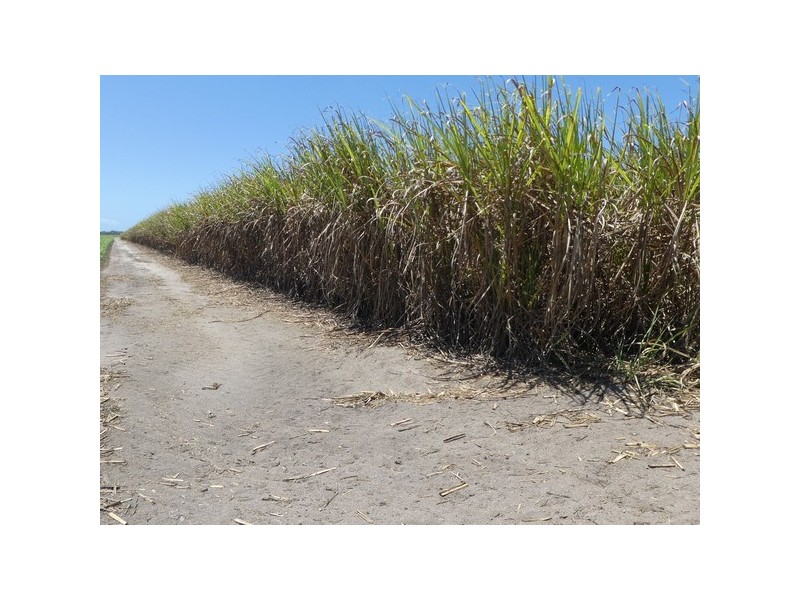 Kurrimine Beach QLD 4871