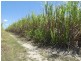 Kurrimine Beach QLD 4871