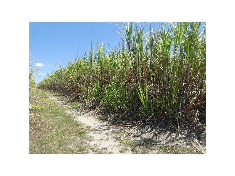 Kurrimine Beach QLD 4871
