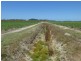 Kurrimine Beach QLD 4871