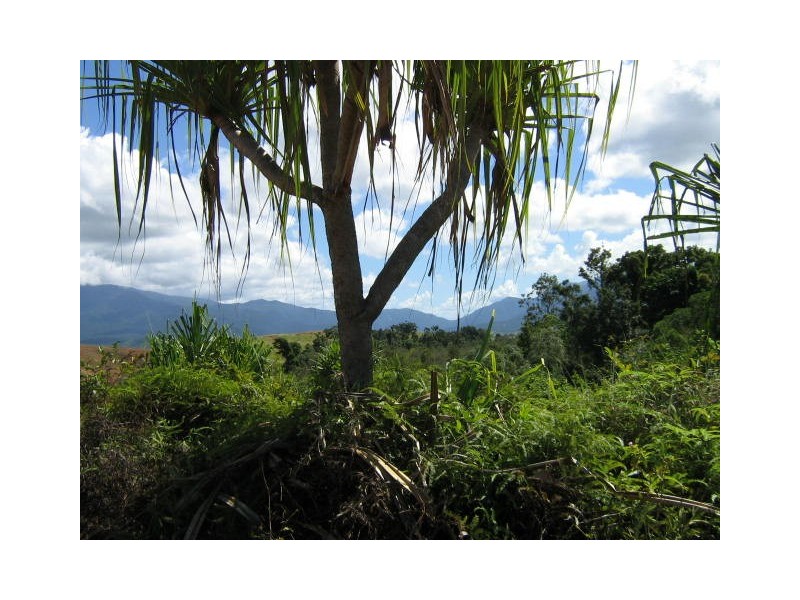 Bramston Beach QLD 4871