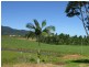 Bramston Beach QLD 4871