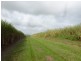 Silkwood QLD 4856