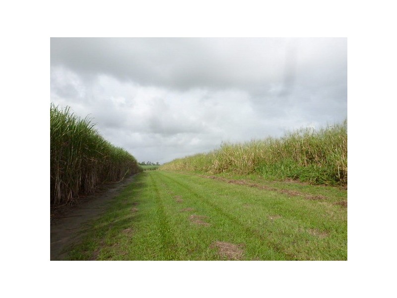 Silkwood QLD 4856
