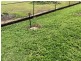 South Johnstone QLD 4859