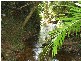 Innisfail QLD 4860