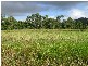 Innisfail QLD 4860