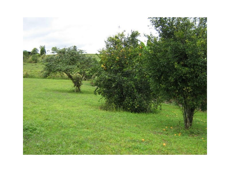 Upper Daradgee QLD 4860