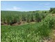 Innisfail QLD 4860