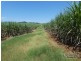 Innisfail QLD 4860