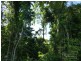 Garradunga QLD 4860