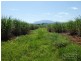 Garradunga QLD 4860