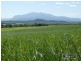 Garradunga QLD 4860