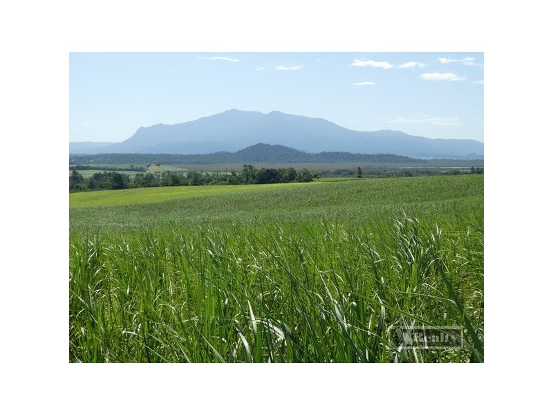 Garradunga QLD 4860